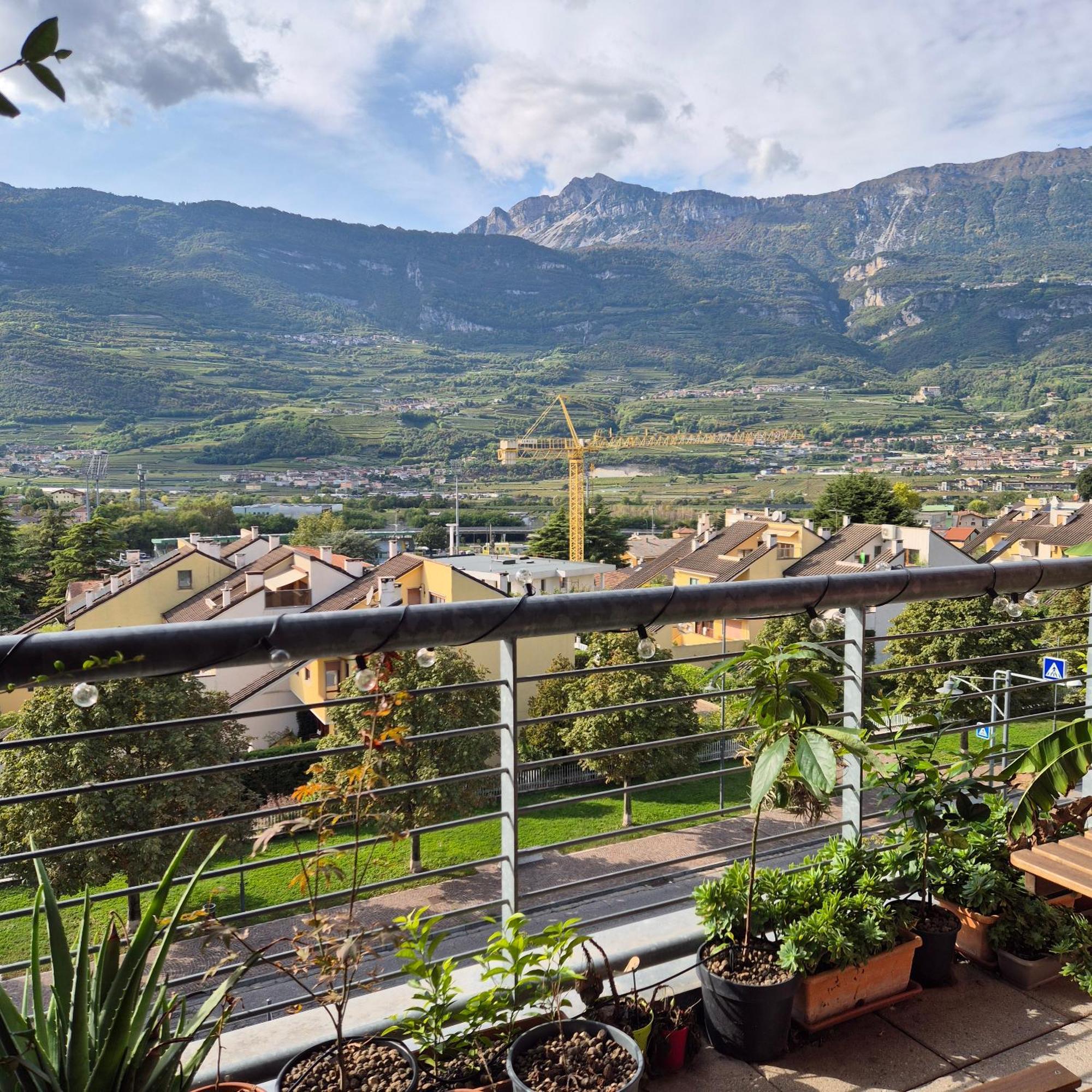 Vista Mozzafiato Sulle Alpi * Rovereto (Trentino Alto Adige)